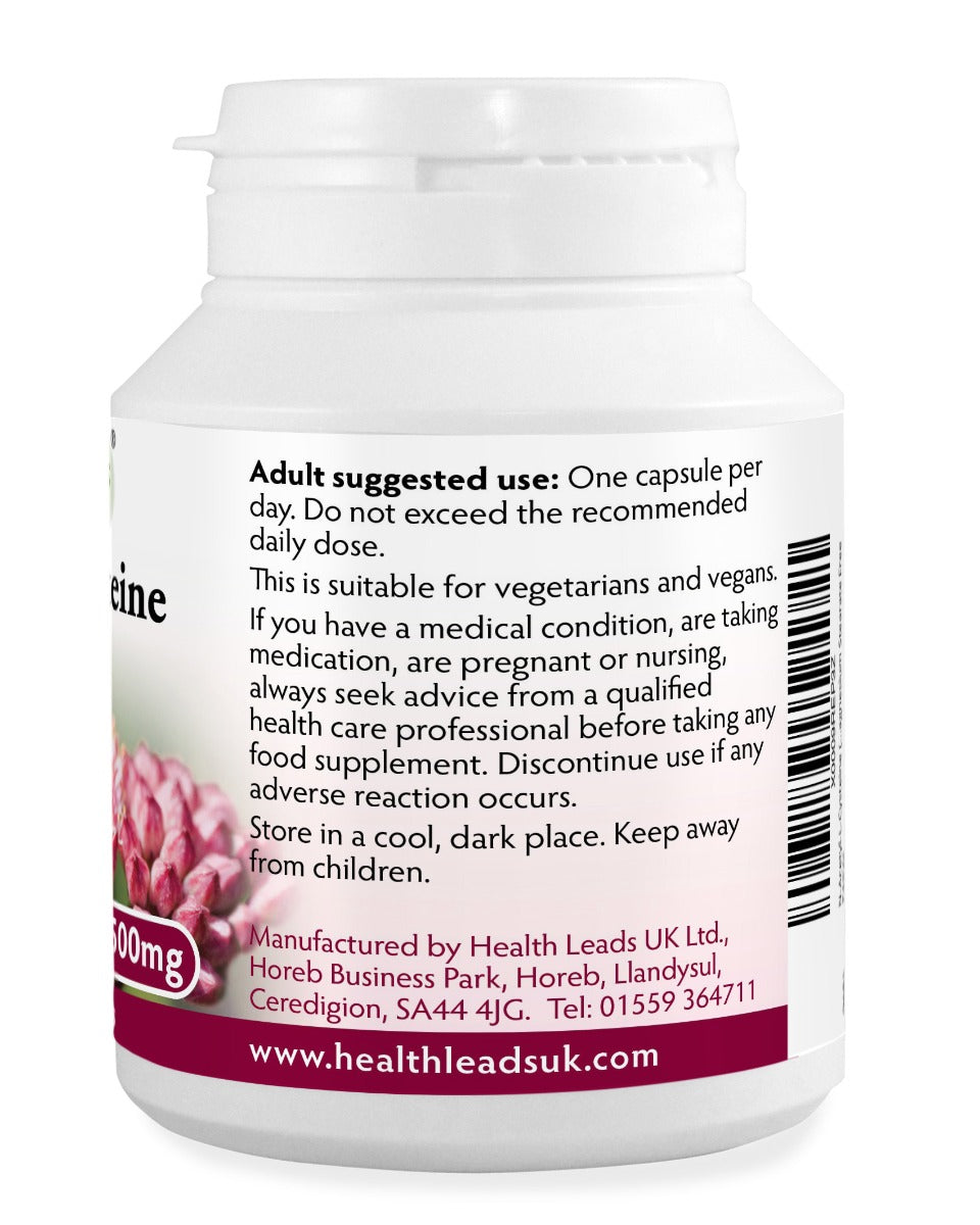 N-Acetyl-L-Cysteine 500mg x 90 capsules