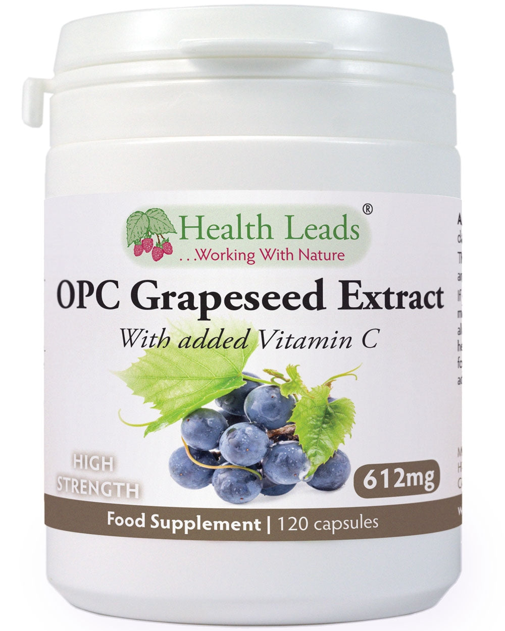 Grapeseed 17,18,19 CD付 Grapeseed oil, cold pressed, Zdravnitza, 100 ml