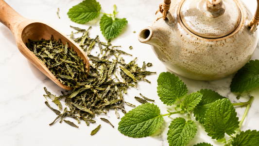 L-Theanine & Lemon Balm: Calm Without the Drowsiness