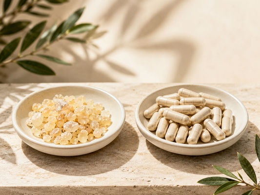 What Is Mastic Gum? Origin, Supplements and What to Look For