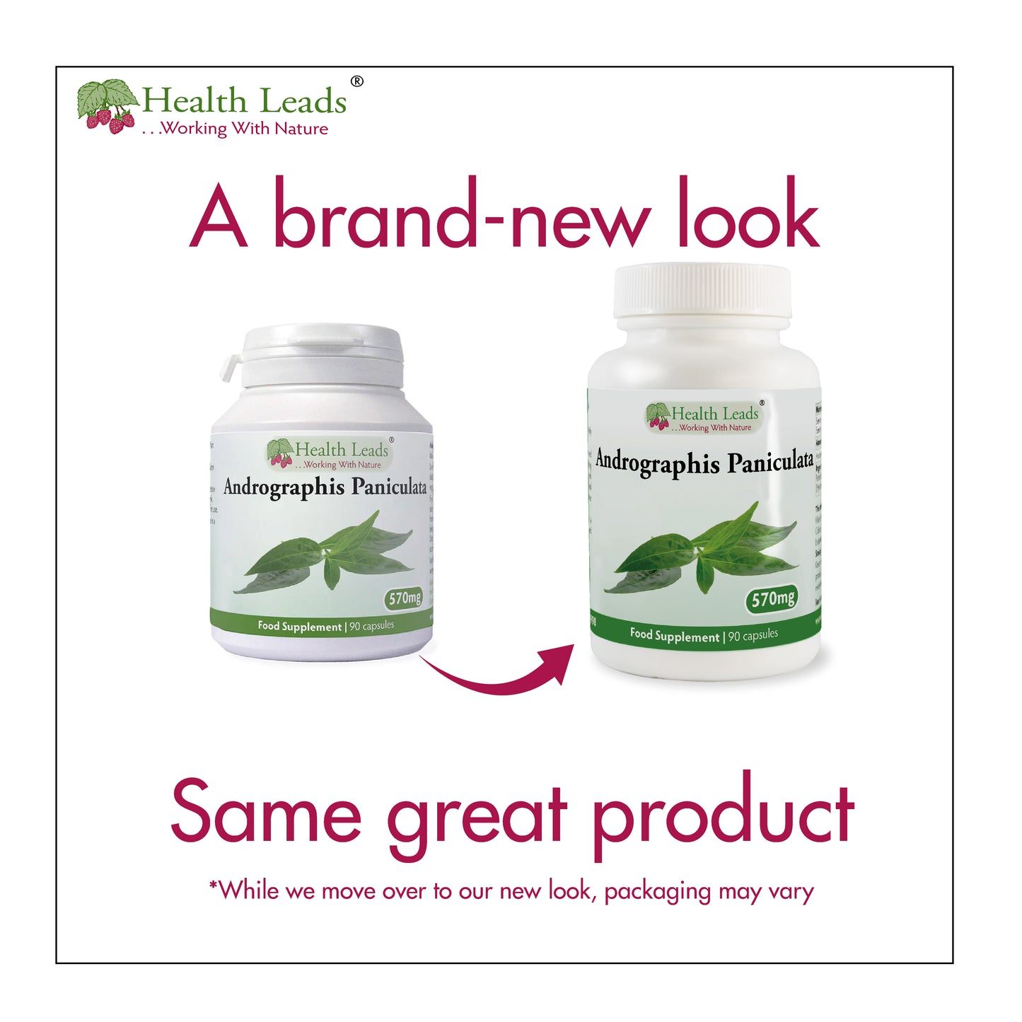 Andrographis Paniculata 570mg x 90 capsules