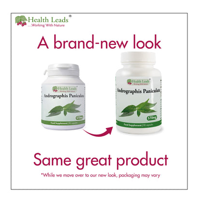 Andrographis Paniculata 570mg x 90 capsules