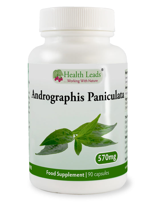 Andrographis Paniculata 570mg x 90 capsules