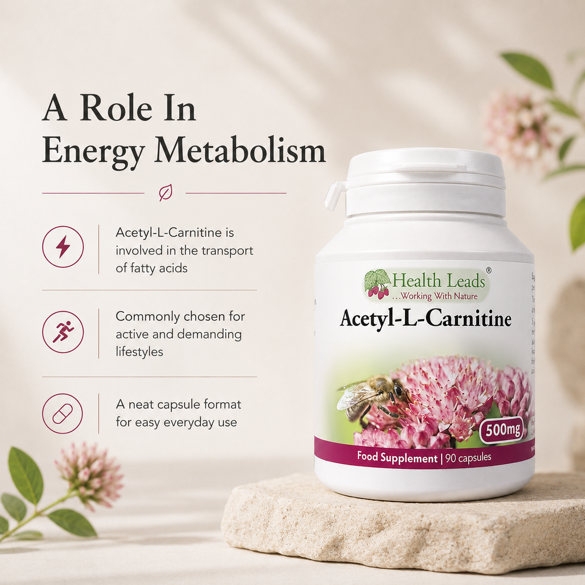 Acetyl-L-Carnitine 500mg x 90 capsules