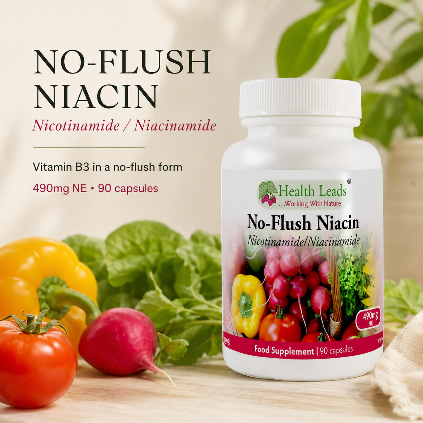 No-Flush Niacin Vitamin B3 (Nicotinamide / Niacinamide) 490mg x 90 capsules