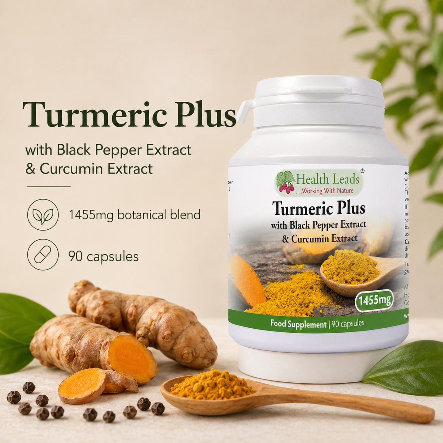 Turmeric Plus 1455mg x 90 Capsules