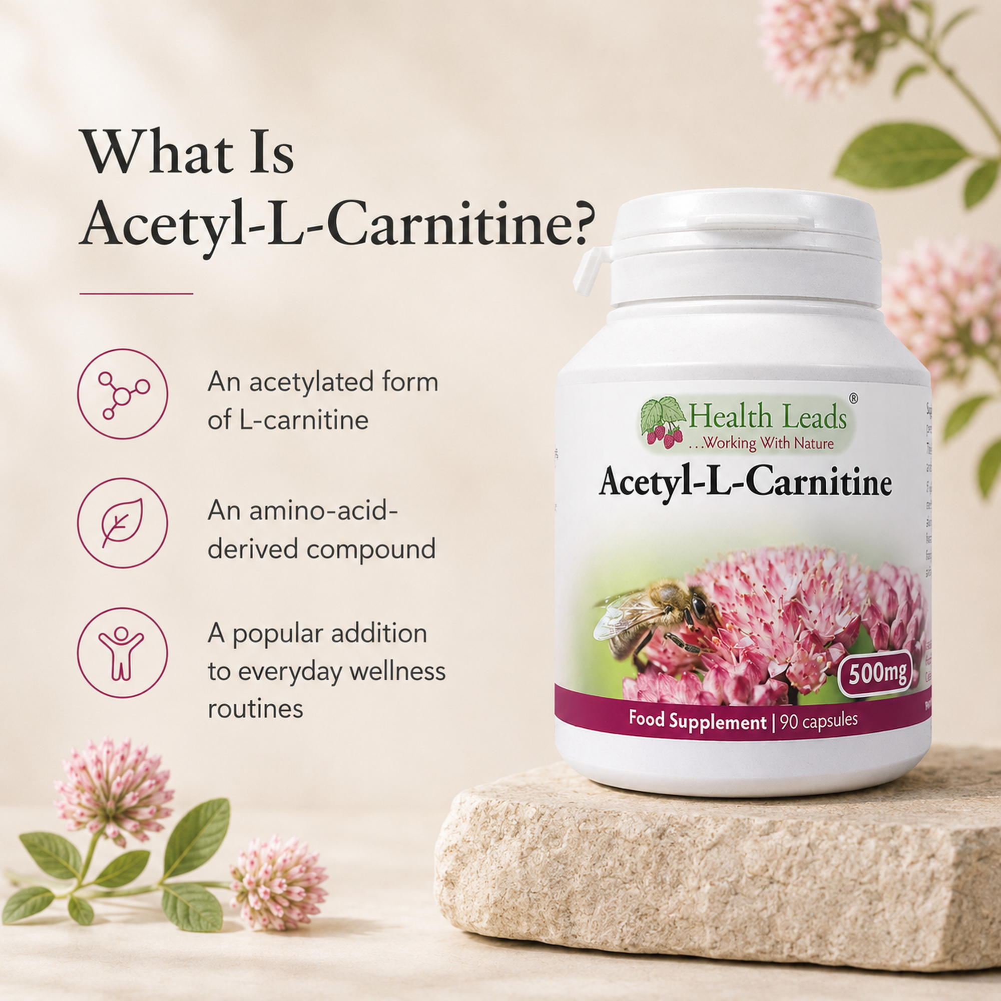 Acetyl-L-Carnitine 500mg | ALCAR | 90 Capsules