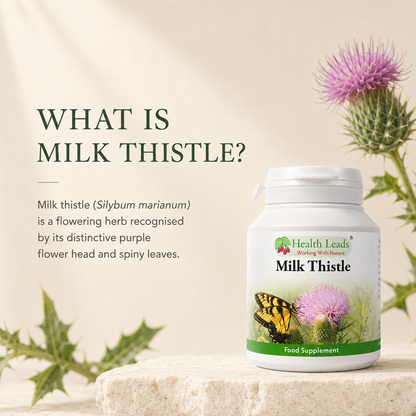 Milk Thistle 440mg x 90 capsules