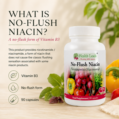 No-Flush Niacin Vitamin B3 (Nicotinamide / Niacinamide) 490mg x 90 capsules