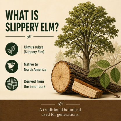 Slippery Elm Powder 100g