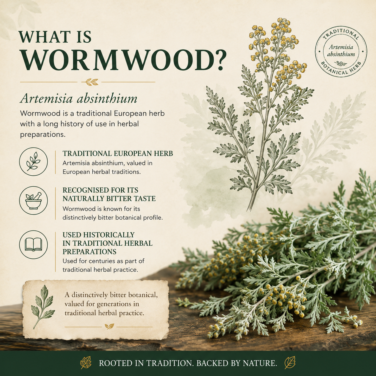 Wormwood 260mg x 90 capsules