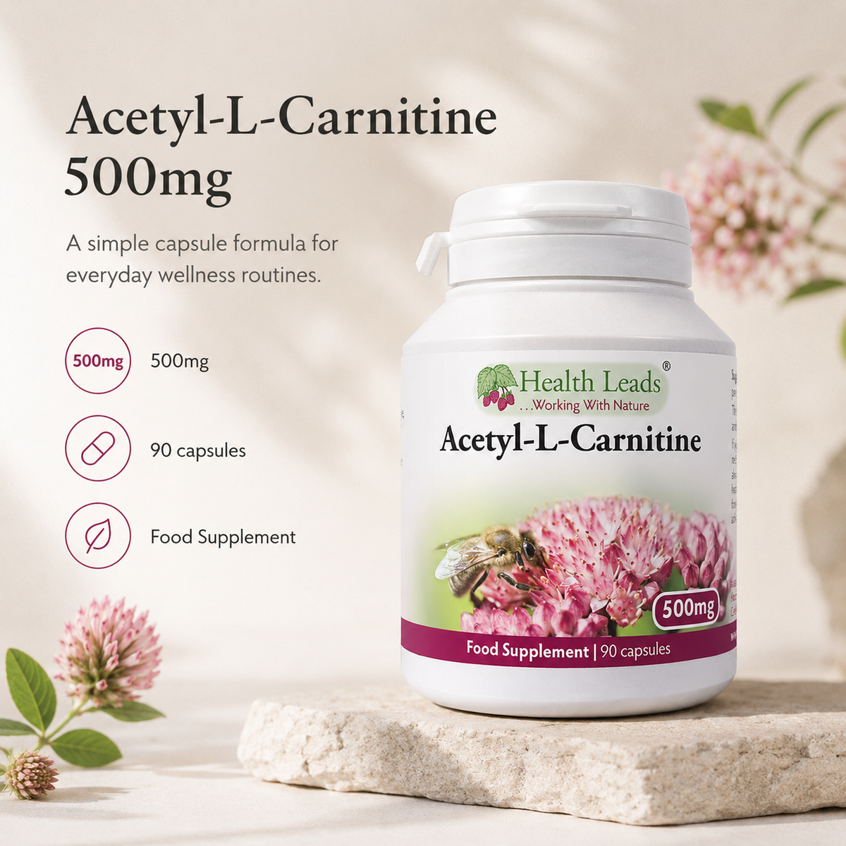Acetyl-L-Carnitine 500mg x 90 capsules