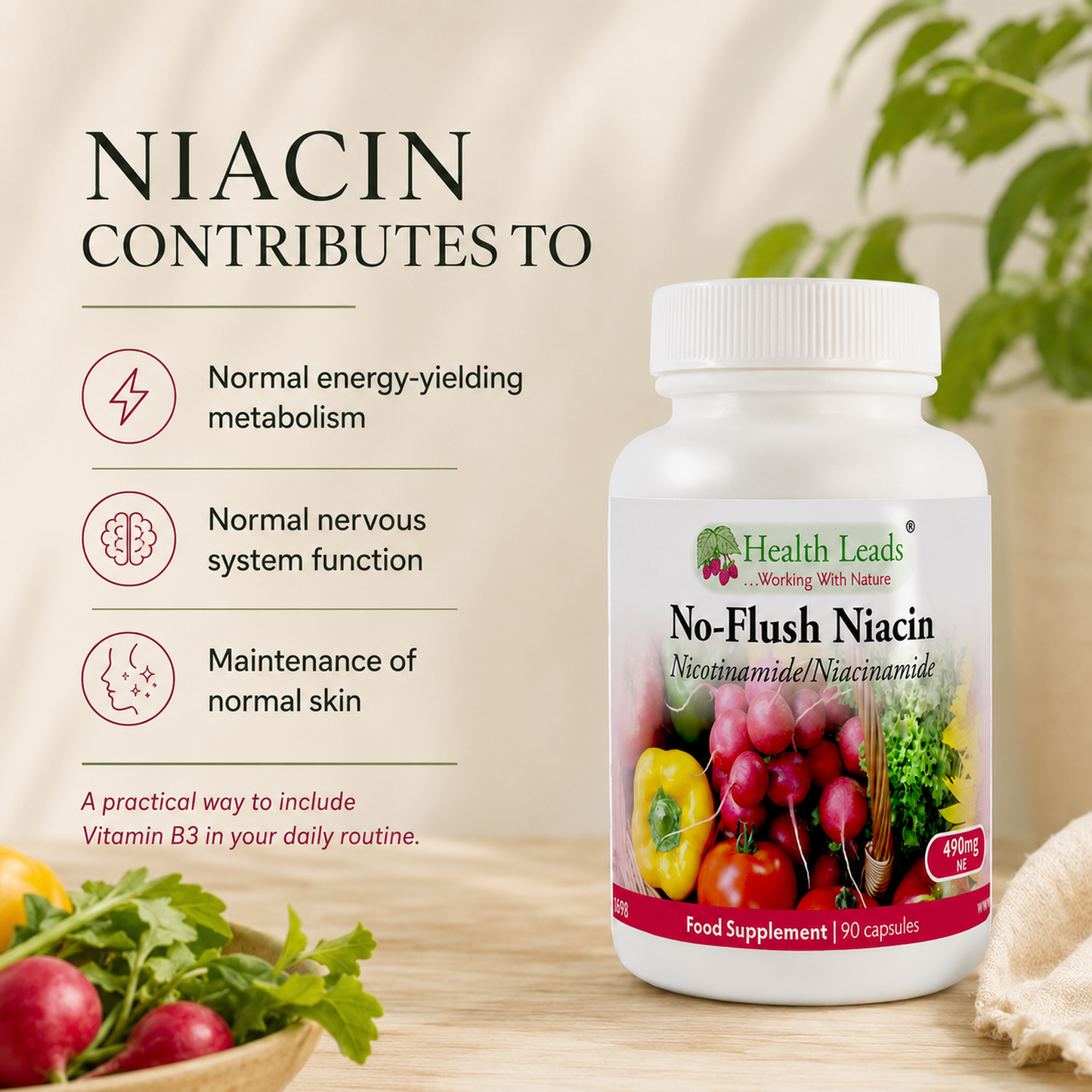 No-Flush Niacin Vitamin B3 (Nicotinamide / Niacinamide) 490mg x 90 capsules