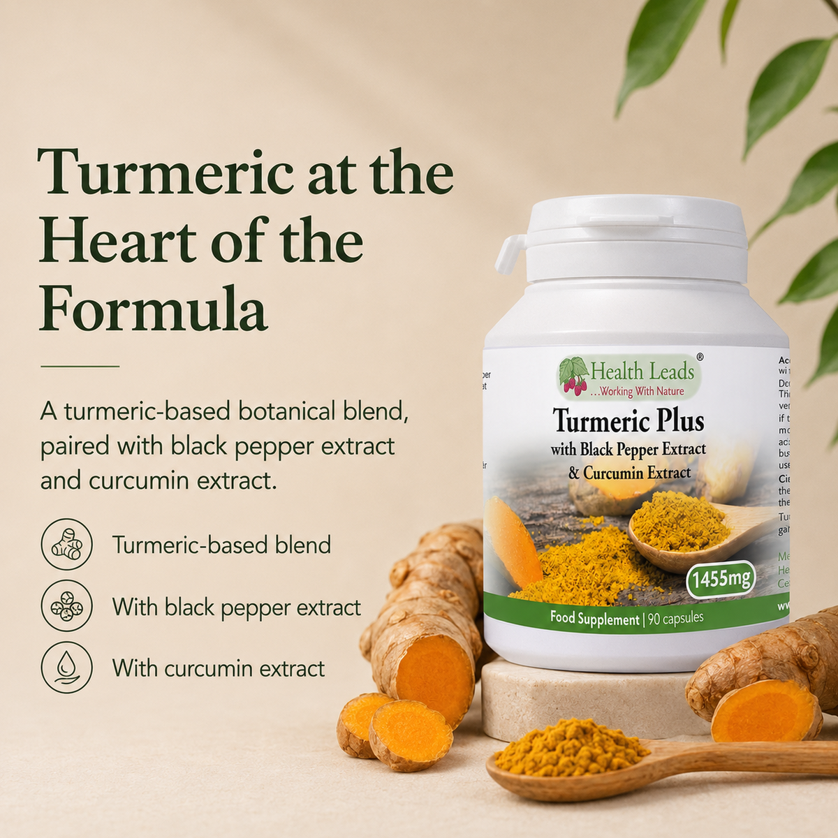 Turmeric Plus 1455mg x 90 Capsules