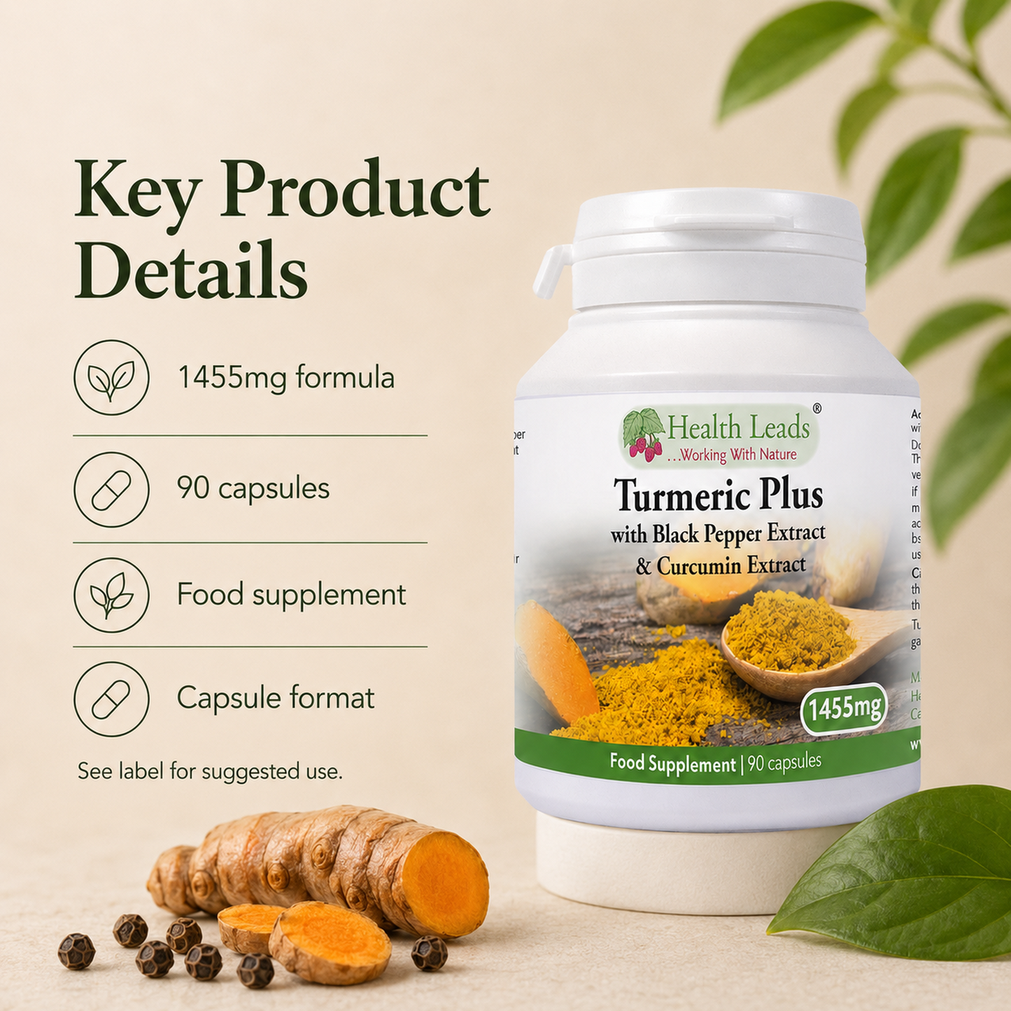 Turmeric Plus 1455mg x 90 Capsules