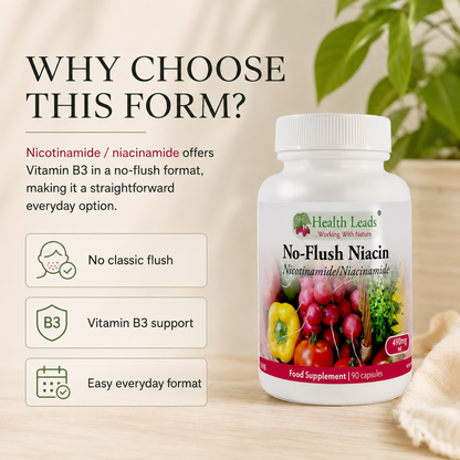 No-Flush Niacin Vitamin B3 (Nicotinamide / Niacinamide) 490mg x 90 capsules