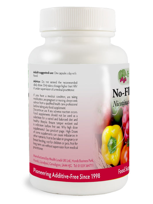 No-Flush Niacin Vitamin B3 (Nicotinamide / Niacinamide) 490mg x 90 capsules