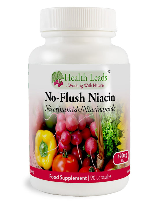 No-Flush Niacin Vitamin B3 (Nicotinamide / Niacinamide) 490mg x 90 capsules