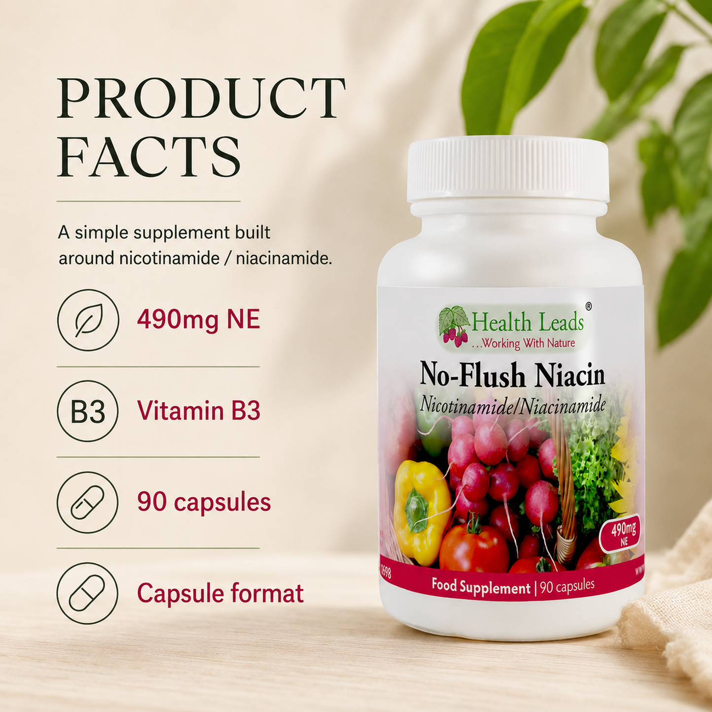 No-Flush Niacin Vitamin B3 (Nicotinamide / Niacinamide) 490mg x 90 capsules