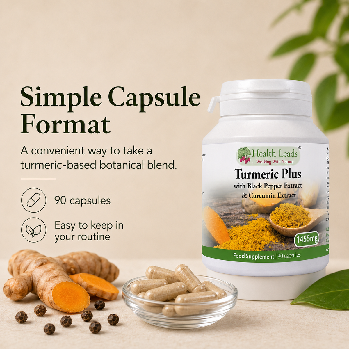 Turmeric Plus 1455mg x 90 Capsules