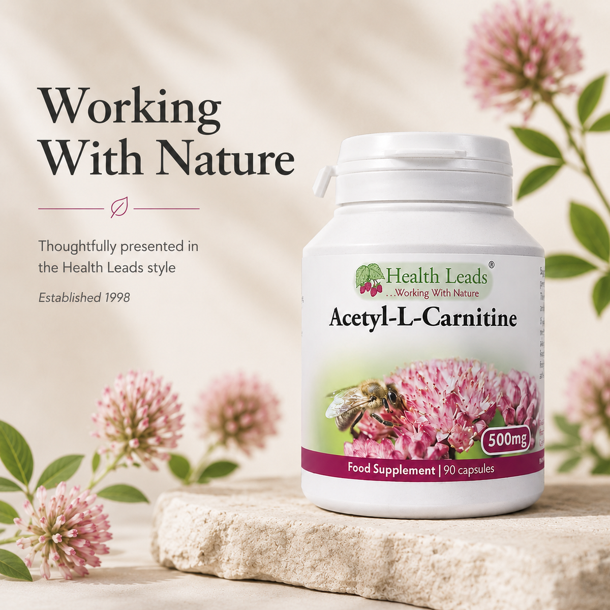 Acetyl-L-Carnitine 500mg x 90 capsules