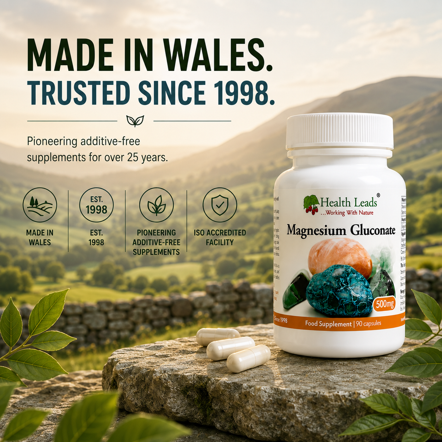 Magnesium Gluconate 500mg x 90 capsules