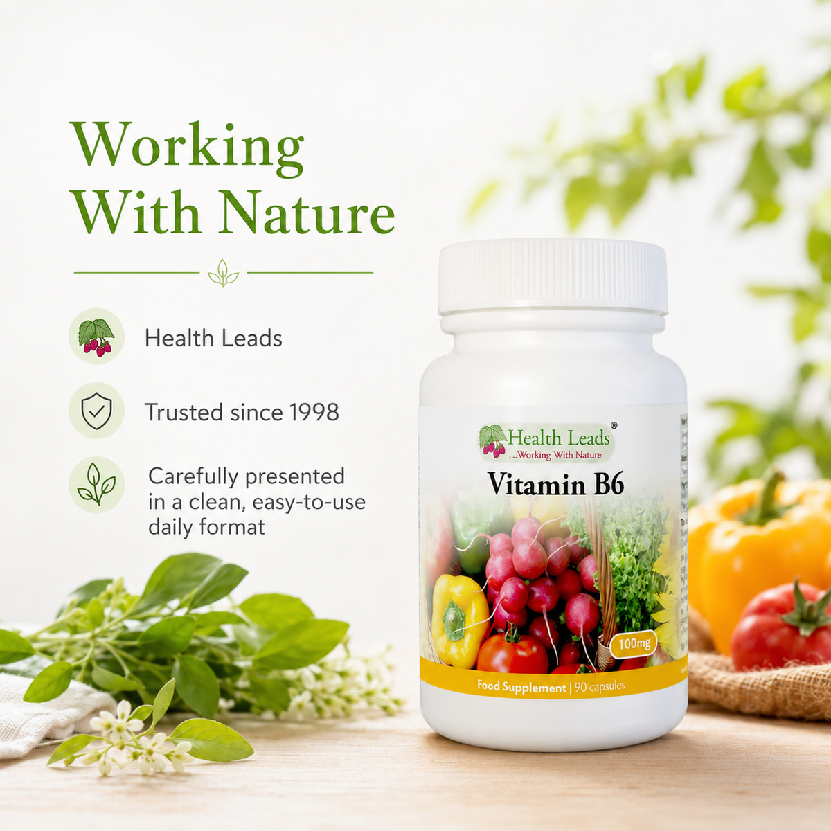 Vitamin B6 (Pyridoxine) 100mg x 90 capsules