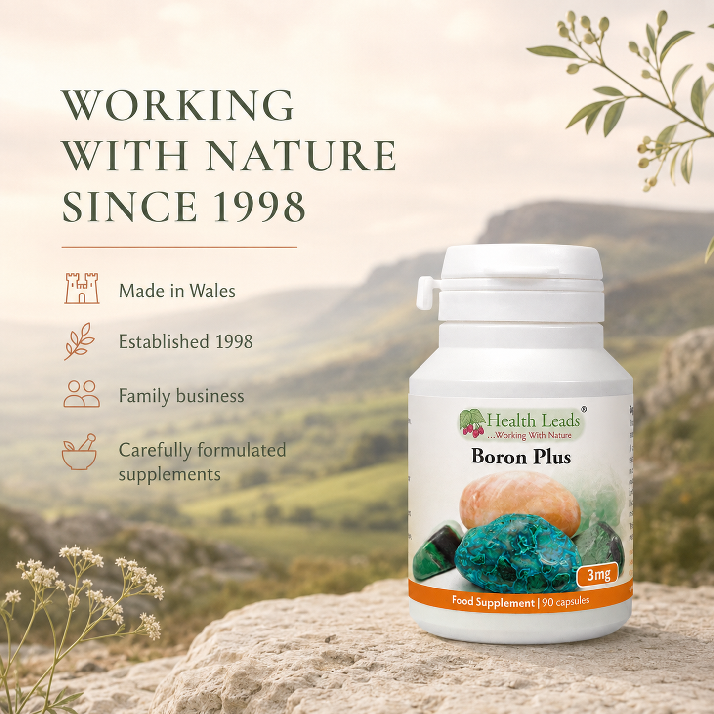 Boron Plus 3mg x 90 capsules