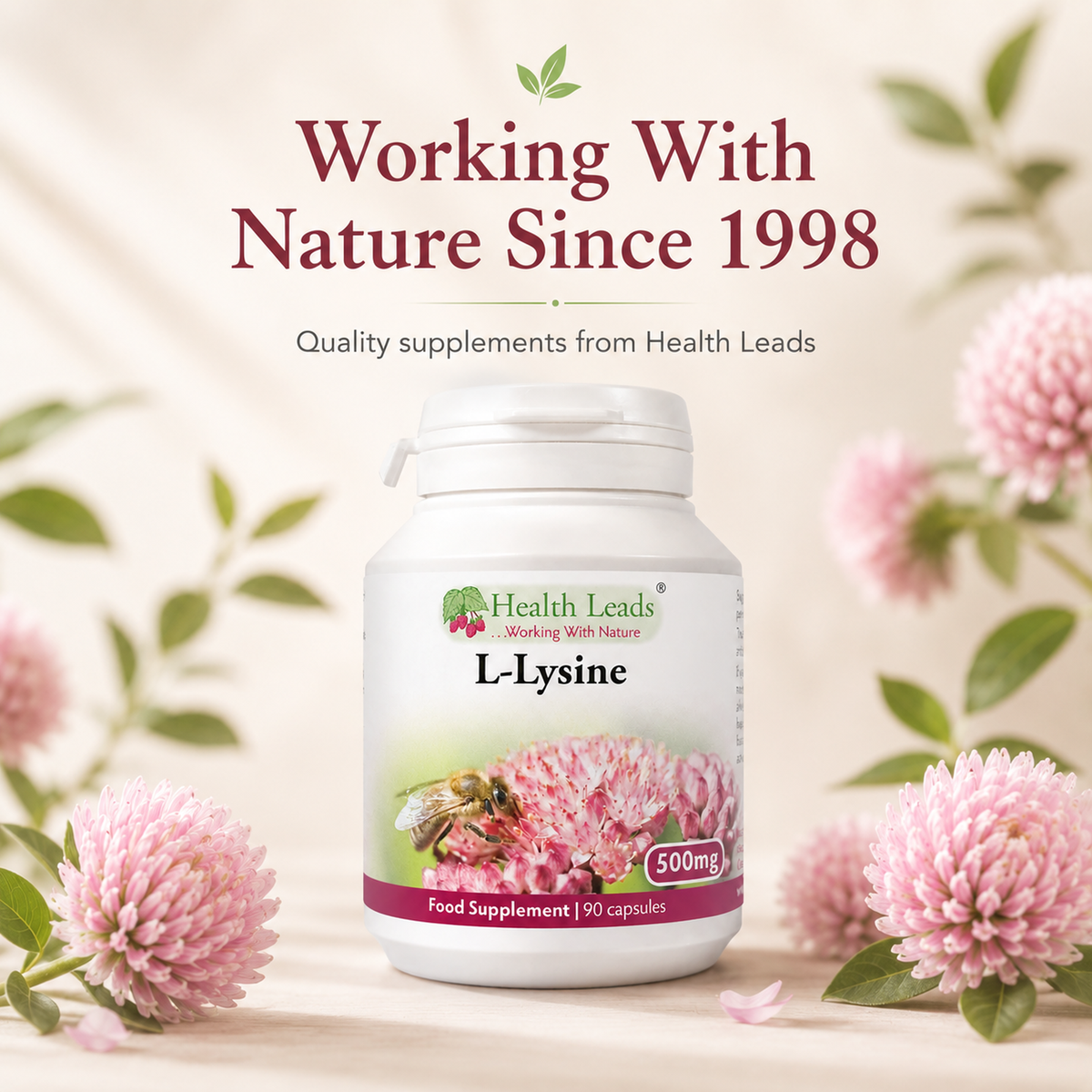 L-Lysine 500mg x 90 capsules