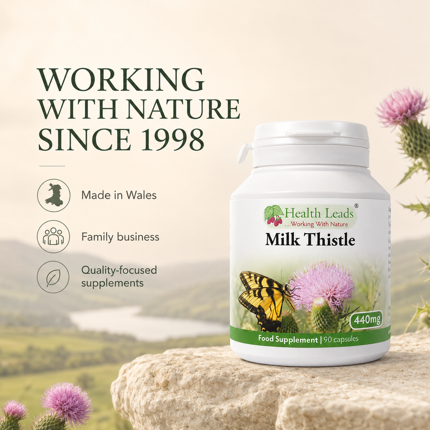 Milk Thistle 440mg x 90 capsules