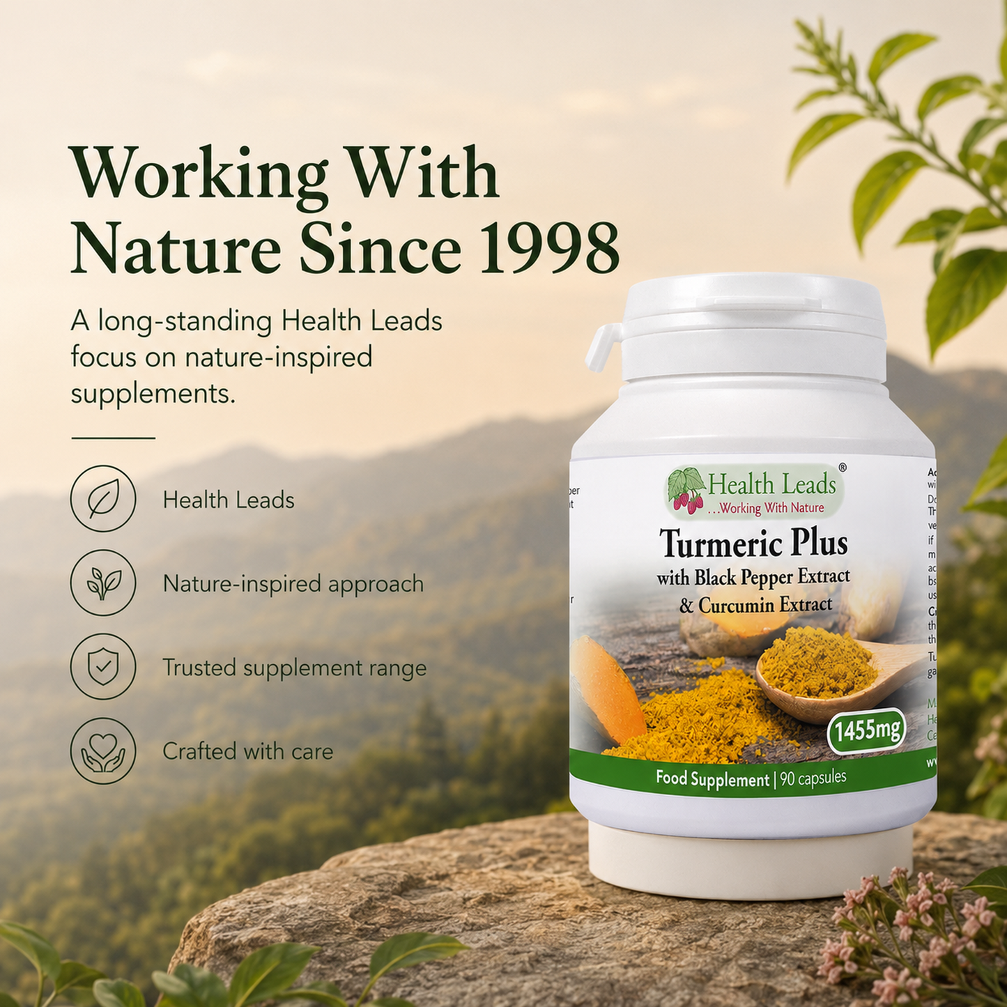 Turmeric Plus 1455mg x 90 Capsules