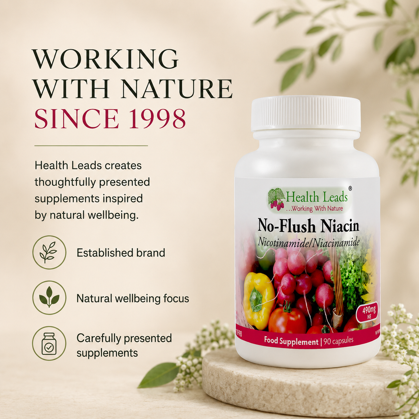 No-Flush Niacin Vitamin B3 (Nicotinamide / Niacinamide) 490mg x 90 capsules