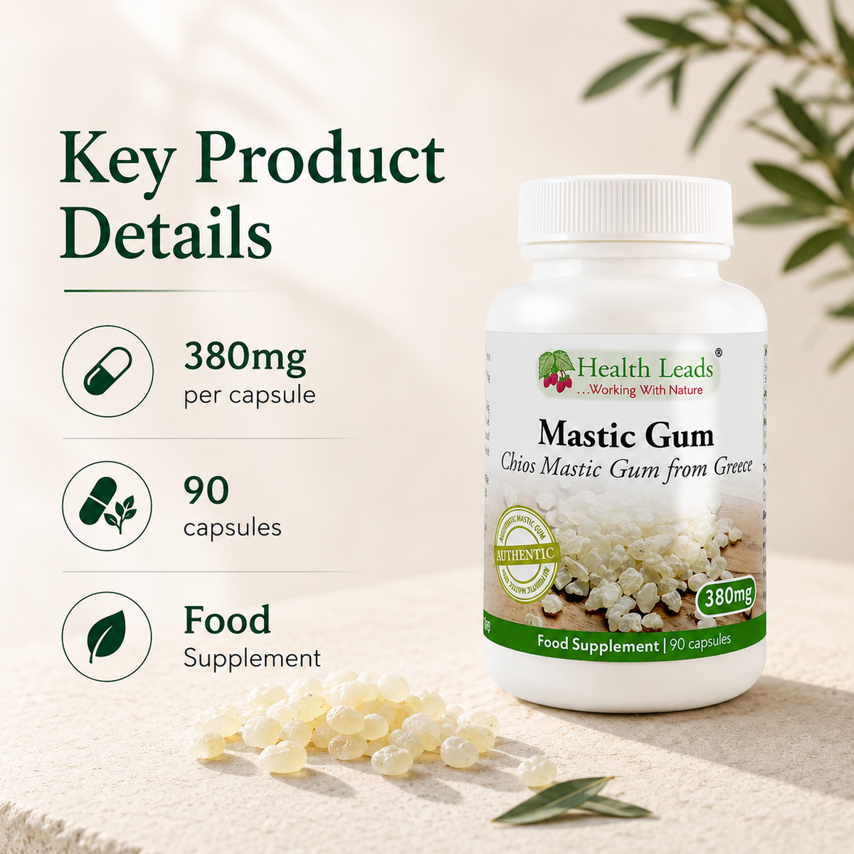 Mastic Gum 380mg Capsules
