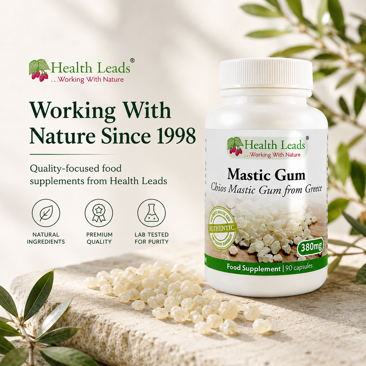 Mastic Gum 380mg Capsules