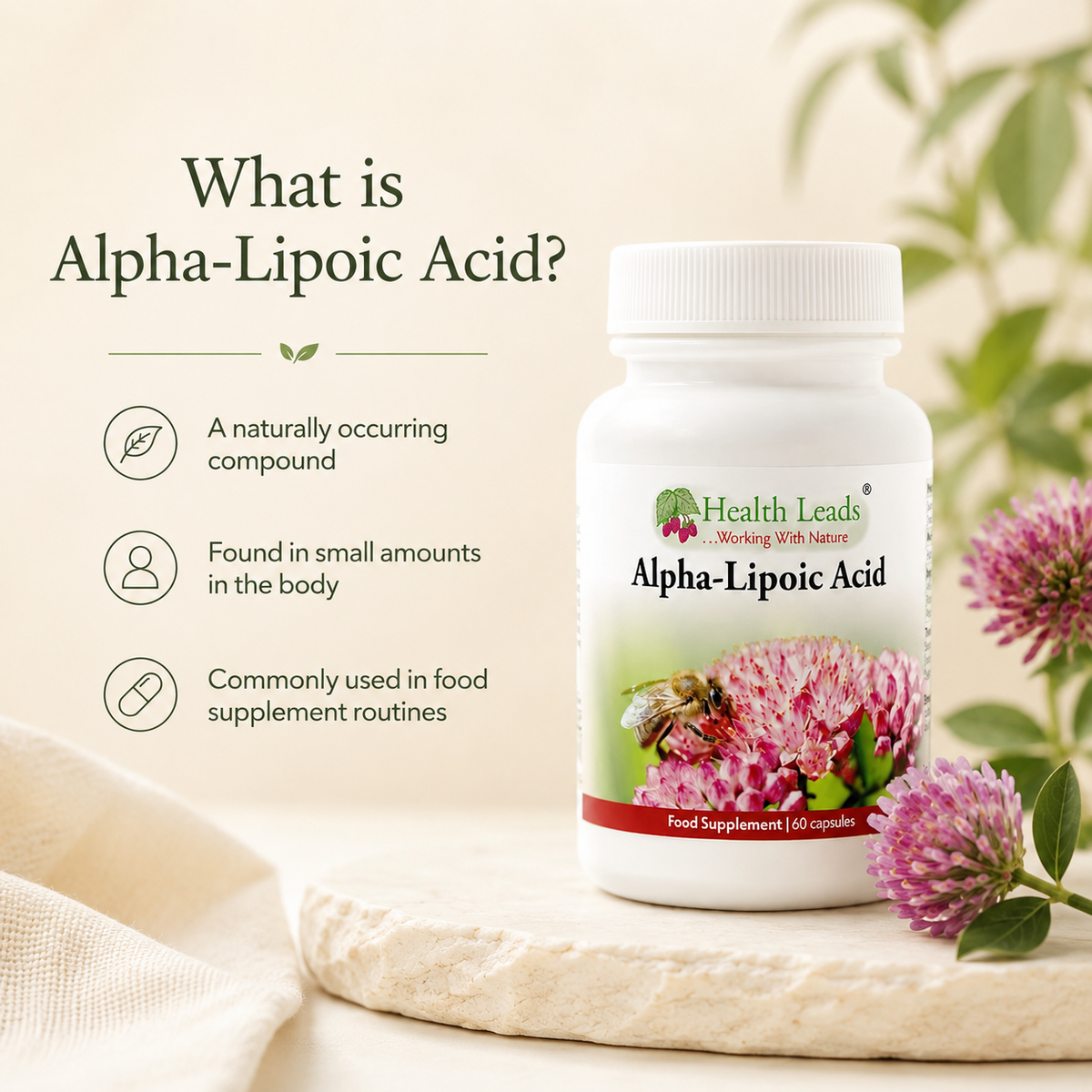 Alpha-Lipoic Acid 250mg x 60 capsules