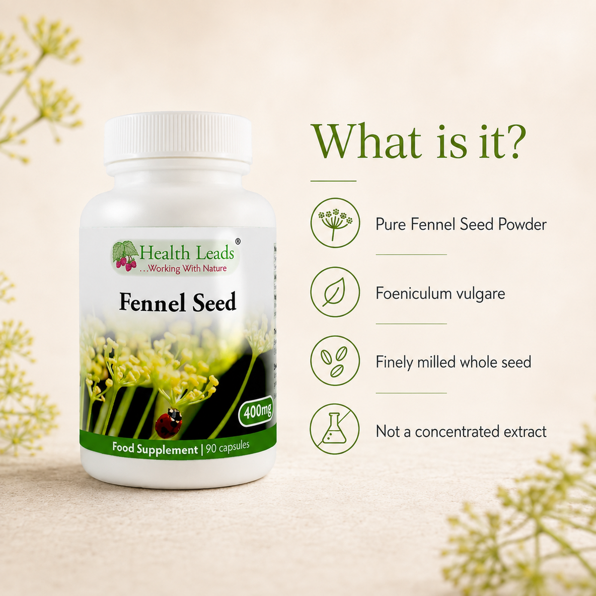 Fennel Seed 400mg x 90 capsules