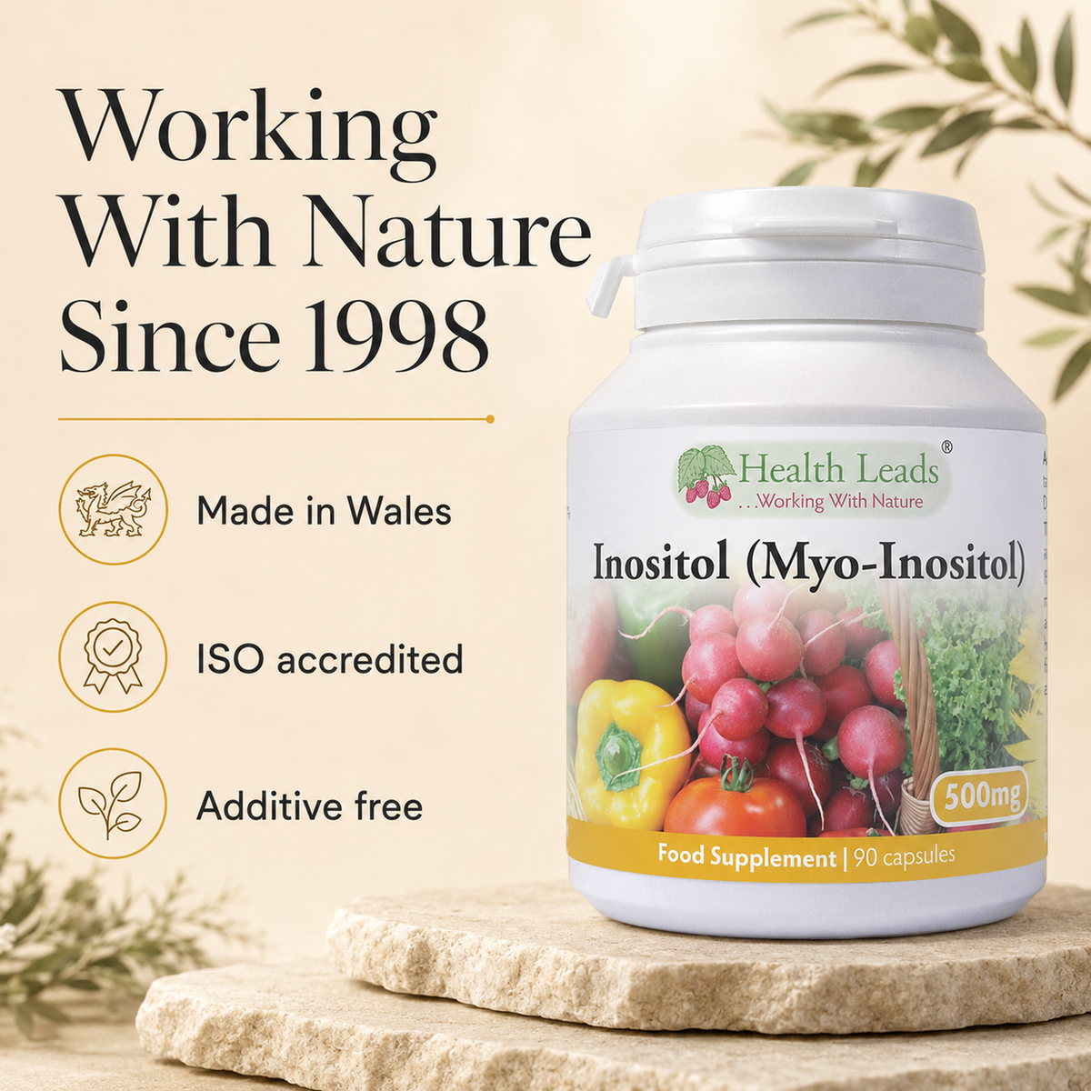 Inositol (Myo-Inositol) 500mg x 90 capsules