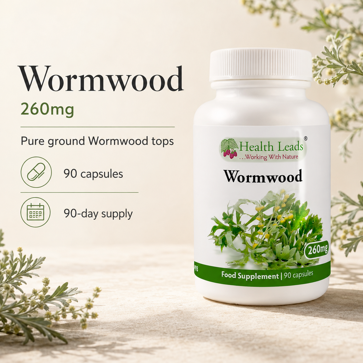 Wormwood 260mg x 90 capsules