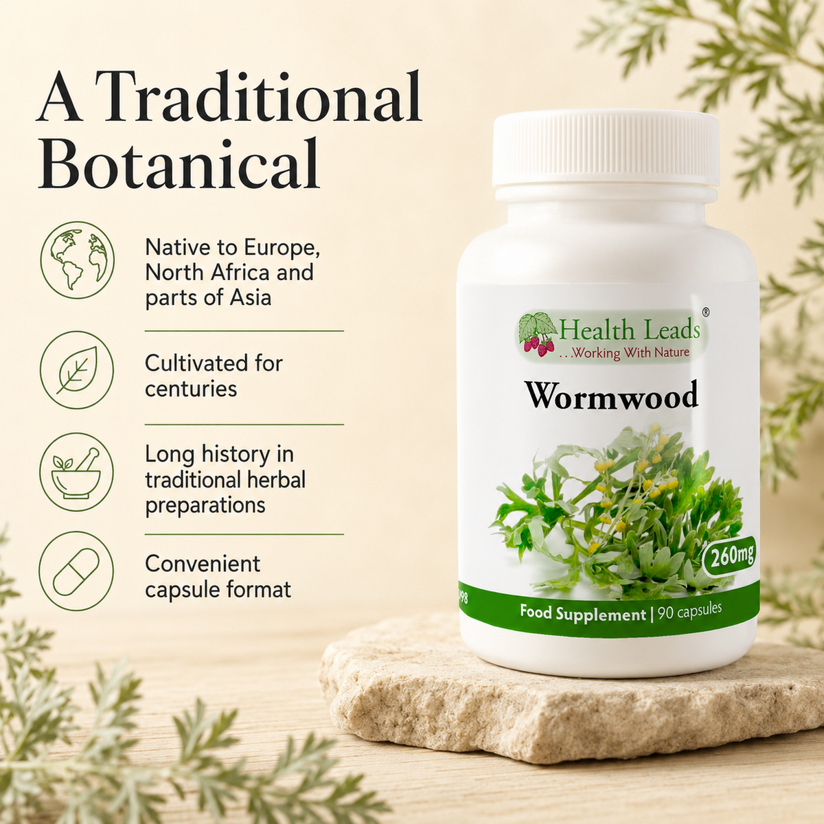 Wormwood 260mg x 90 capsules