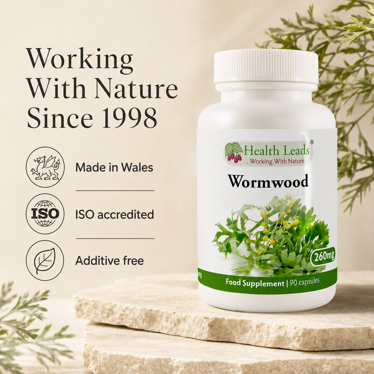 Wormwood 260mg x 90 capsules